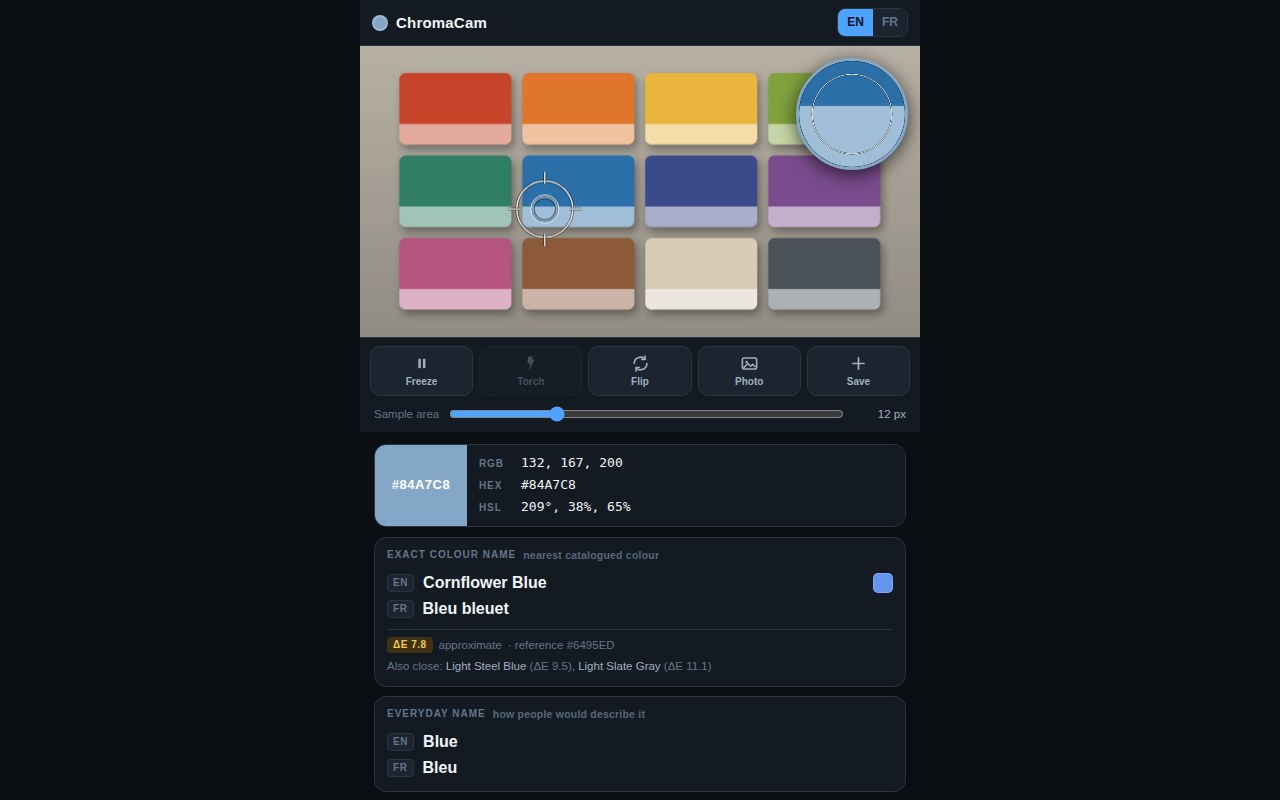 Screenshot of ChromaCam